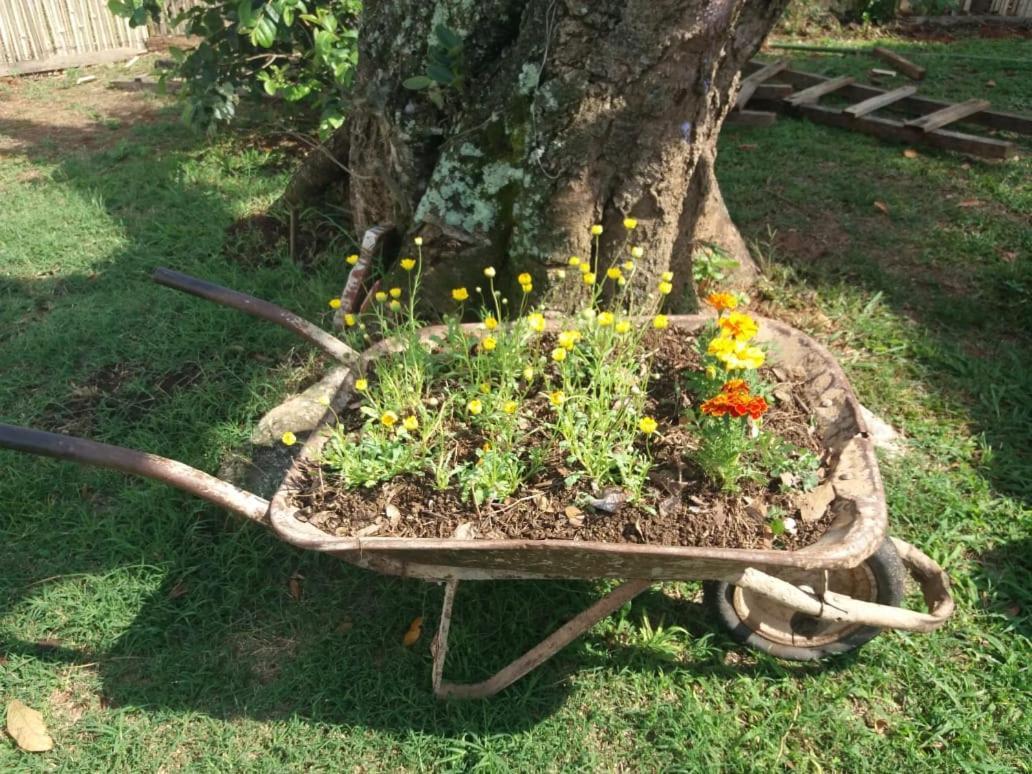 Pousada Dedo De Deus Paraisópolis Exterior foto